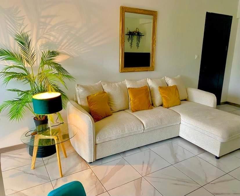 Appartement Confort T3 Toulouse Extérieur photo